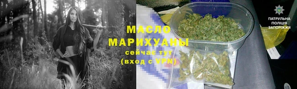 индика Осинники