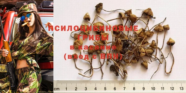дурь Алексин