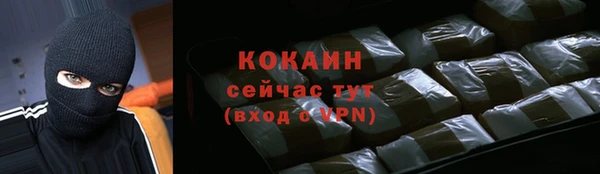 прущий лед Алзамай