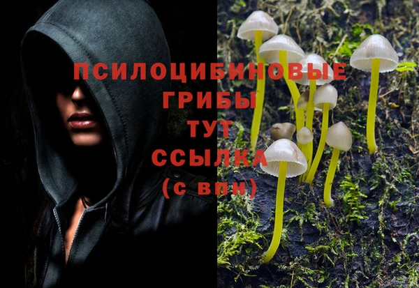 дурь Алексин