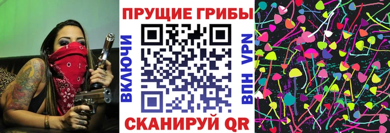 хочу наркоту  Тейково  Галлюциногенные грибы Psilocybine cubensis 